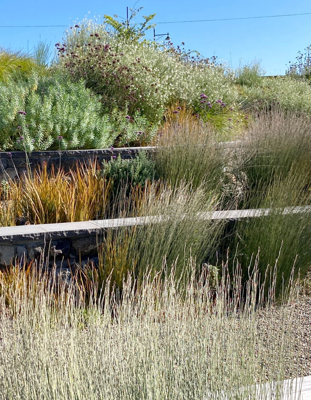 Worsley Spur Garden