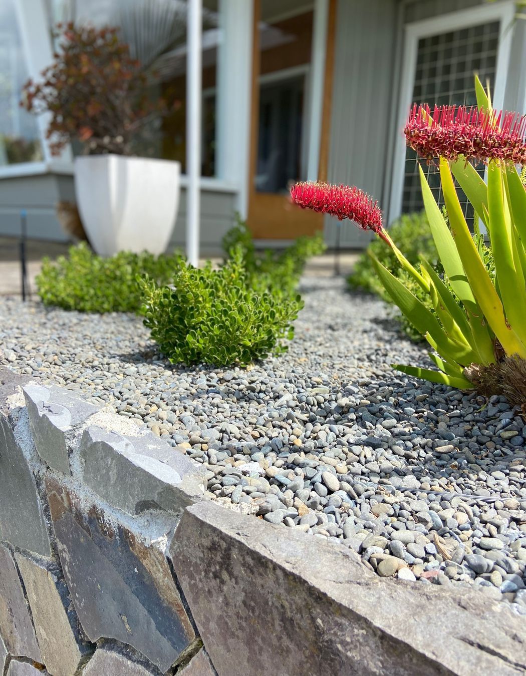 Contemporary Entrance, Hillcrest