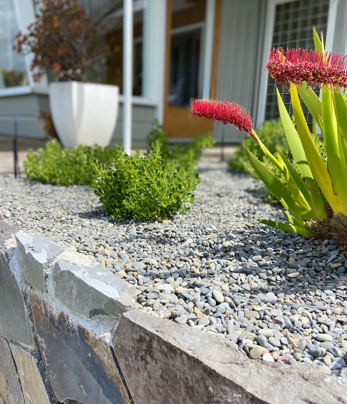 Contemporary Entrance, Hillcrest