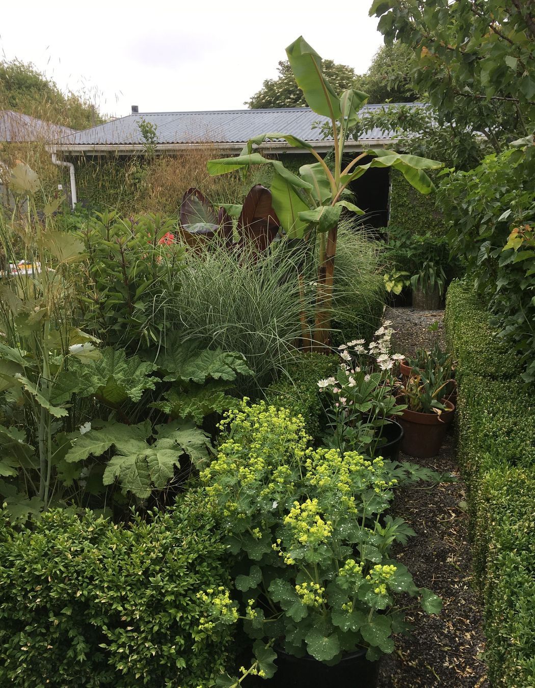 Shirley Garden