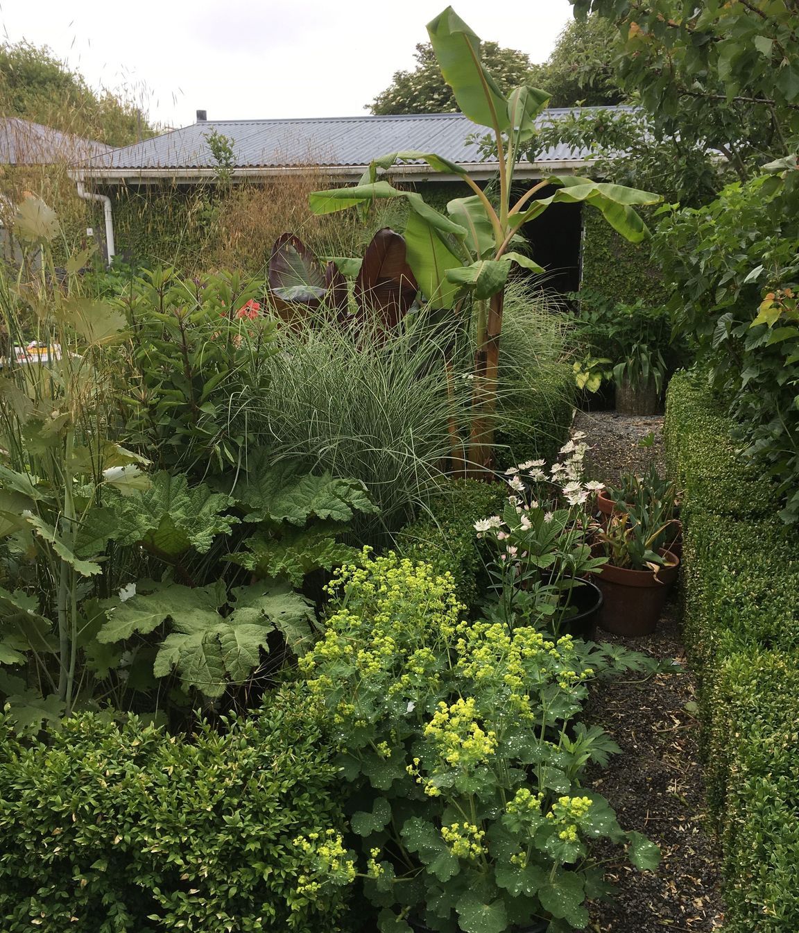 Shirley Garden