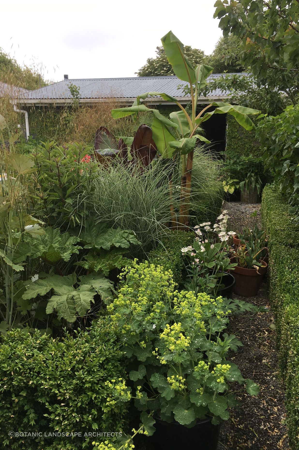 Shirley Garden