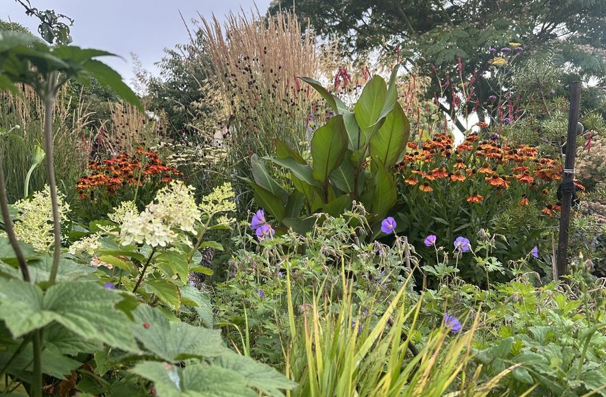 Dallington Garden