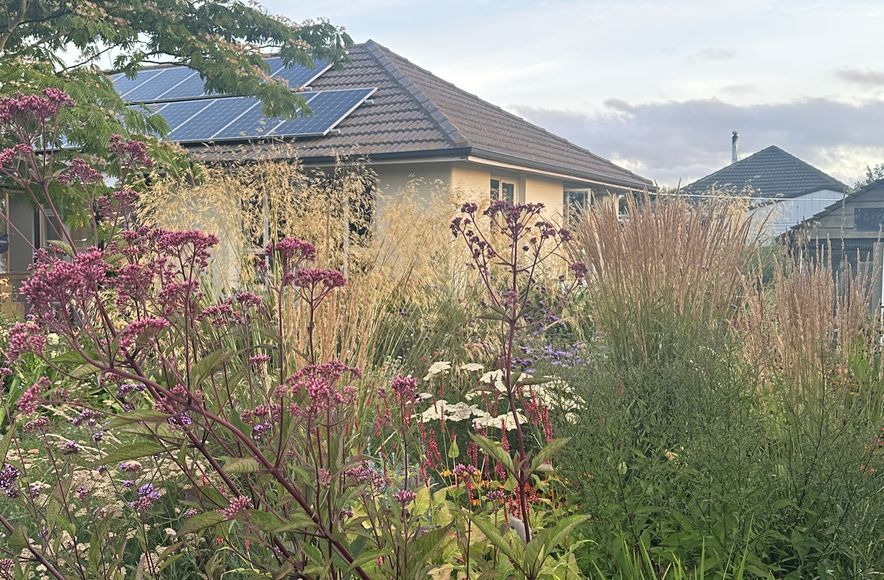 Dallington Garden