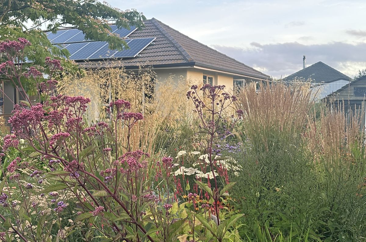 Dallington Garden