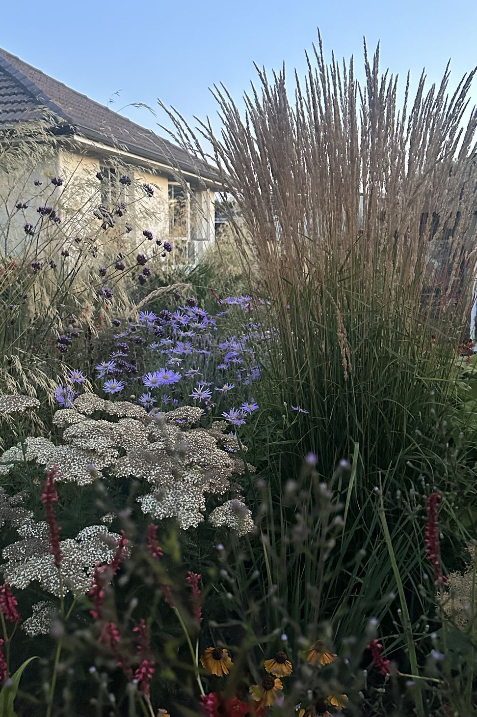 IMG3890-v2.jpeg