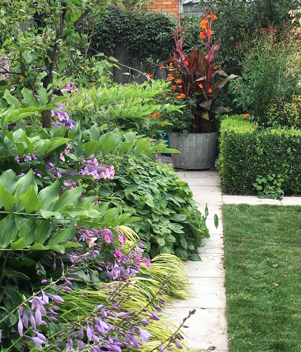 Shirley Garden