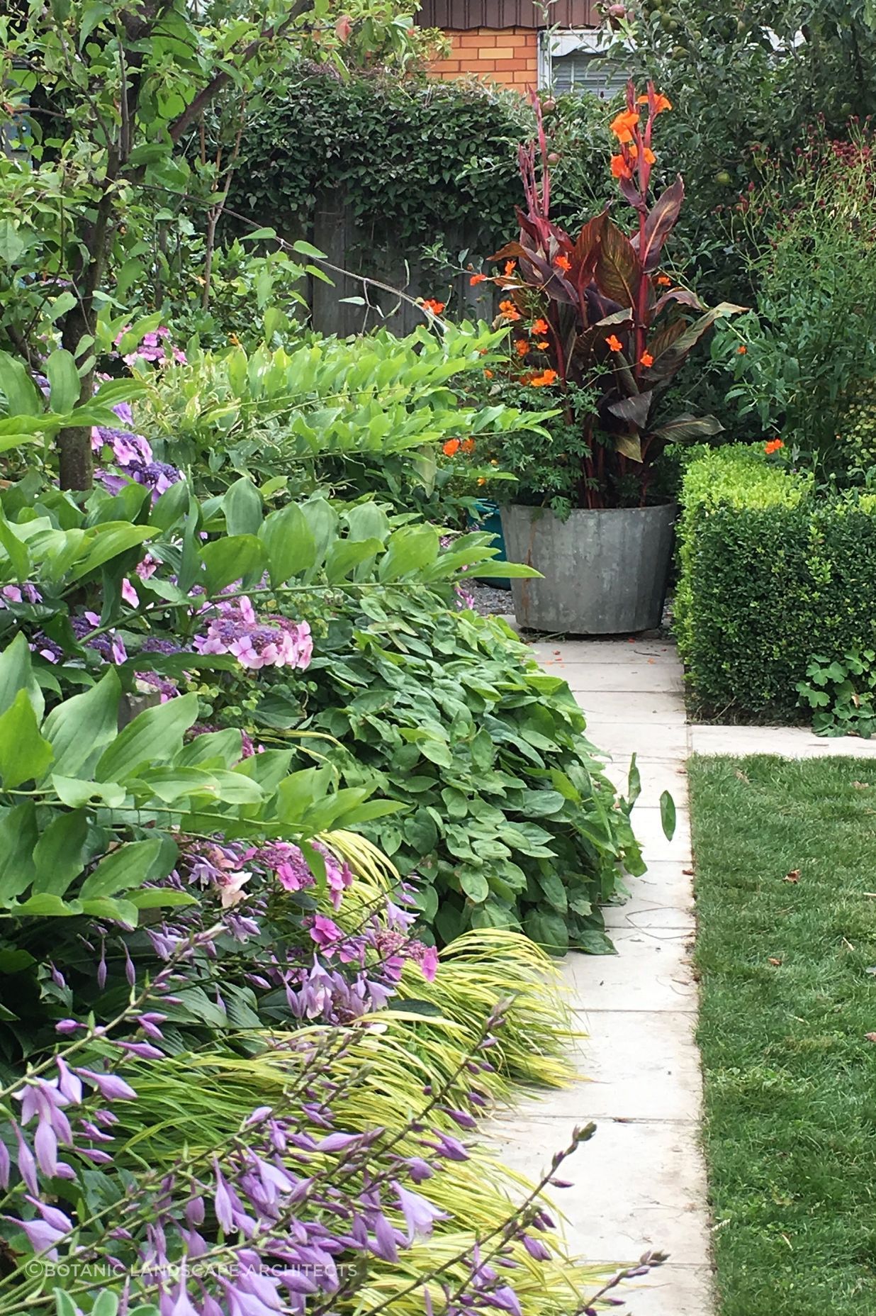 Shirley Garden