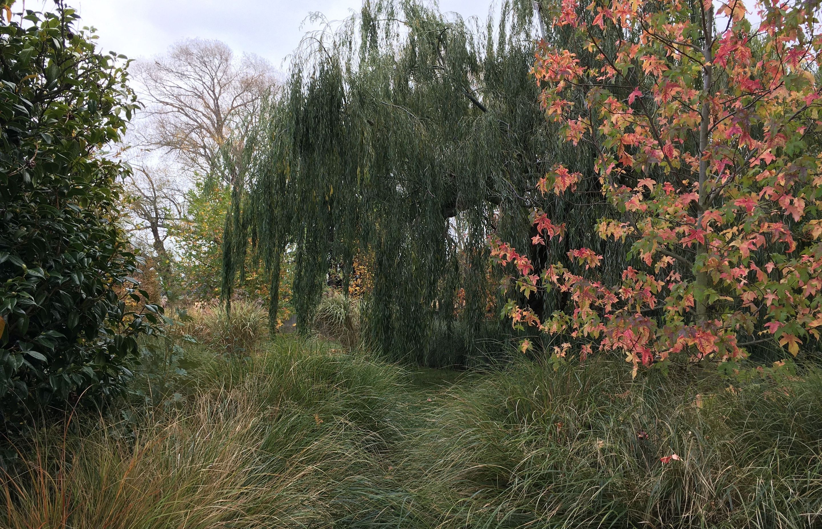 Tai Tapu Garden