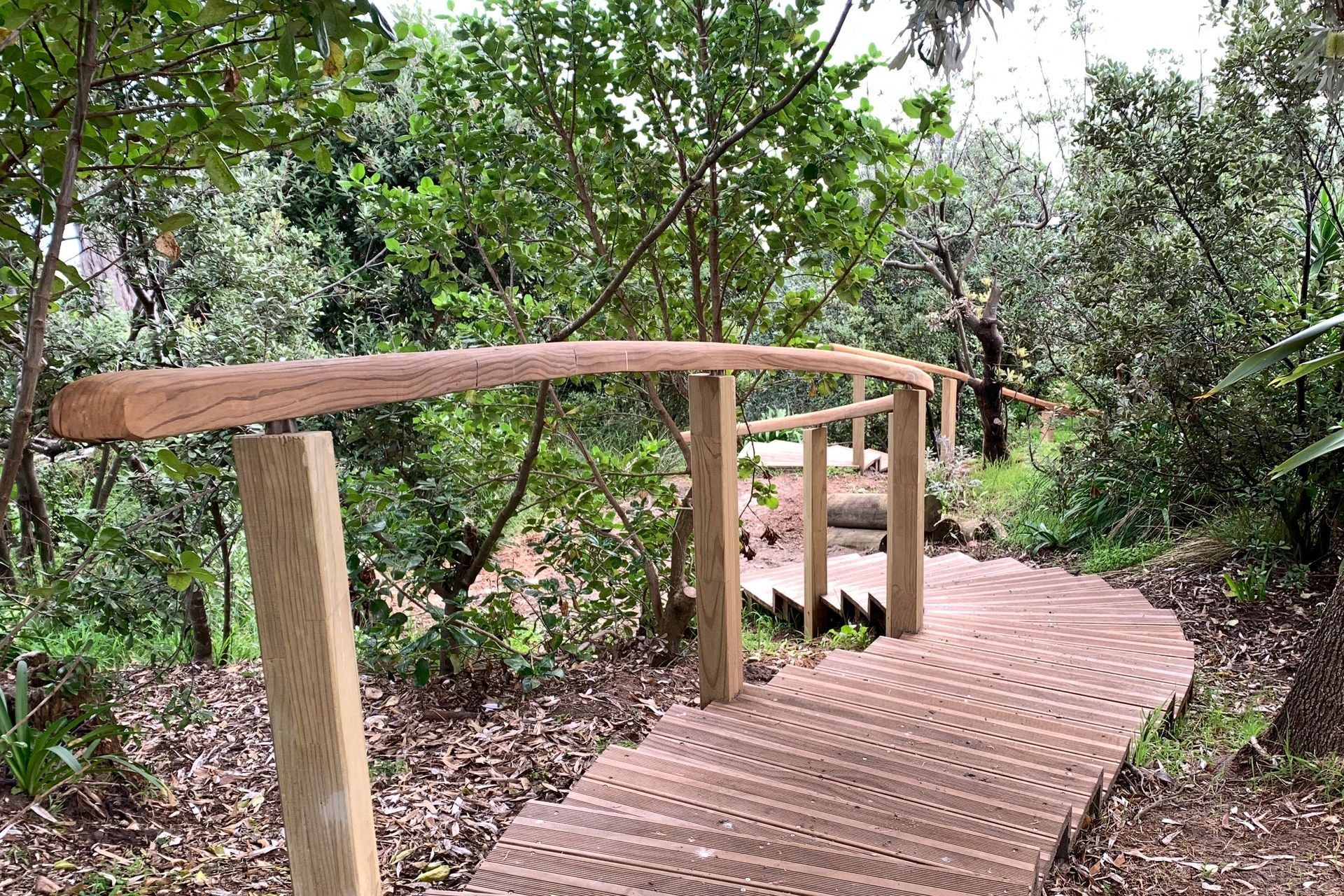 Raumati Beach - Curved Steps