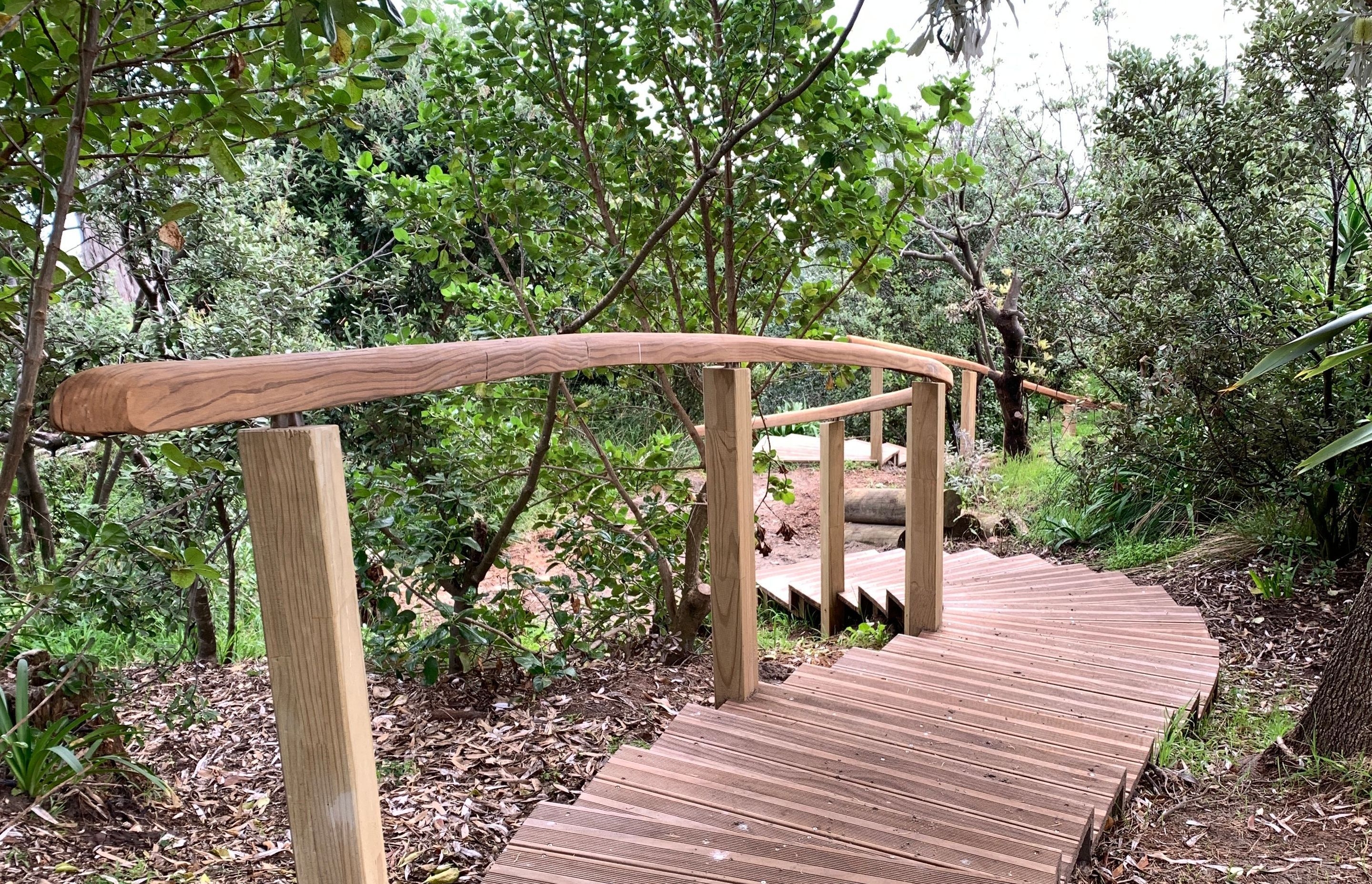 Raumati Beach - Curved Steps