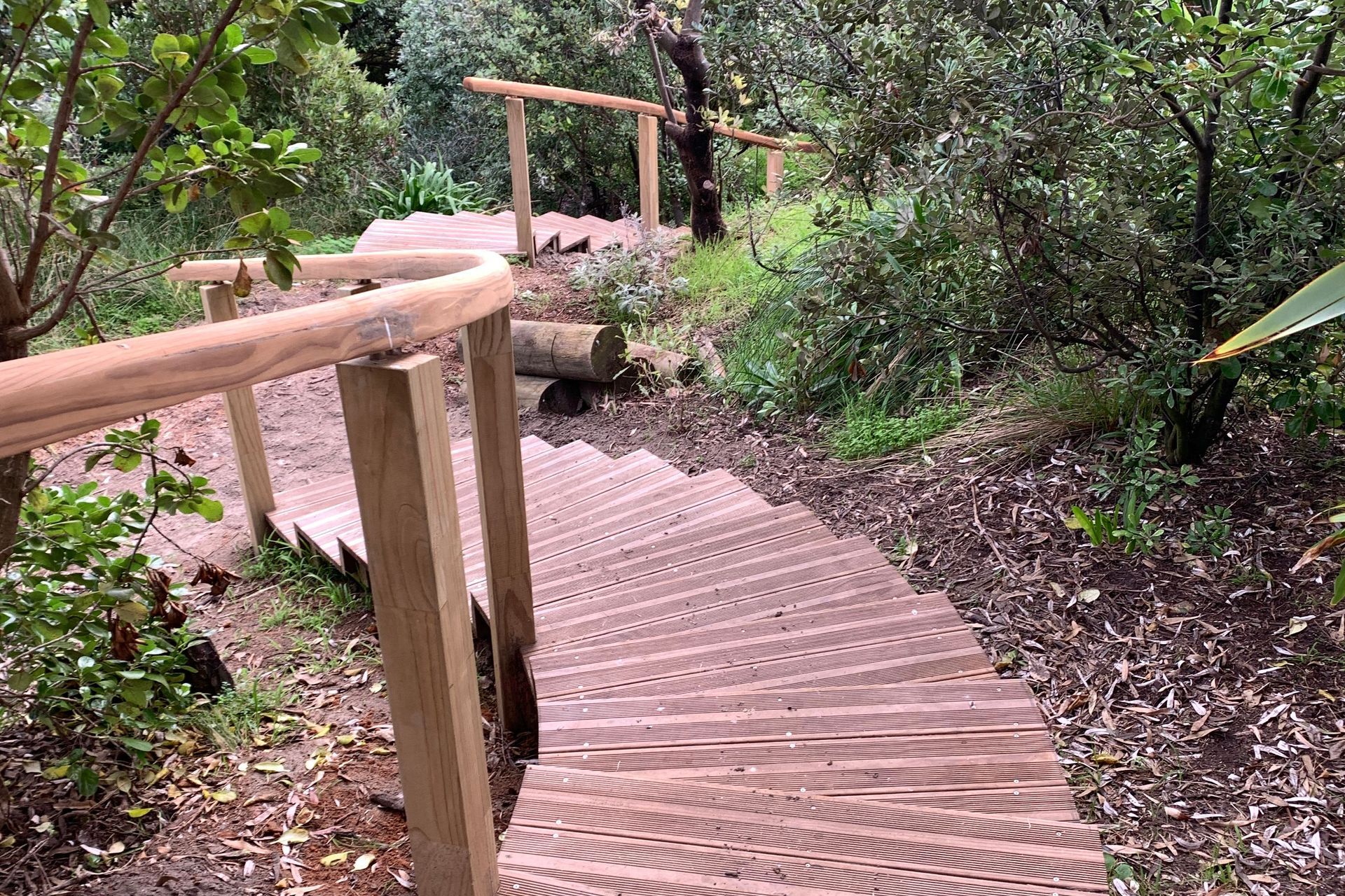 Raumati Beach - Curved Steps