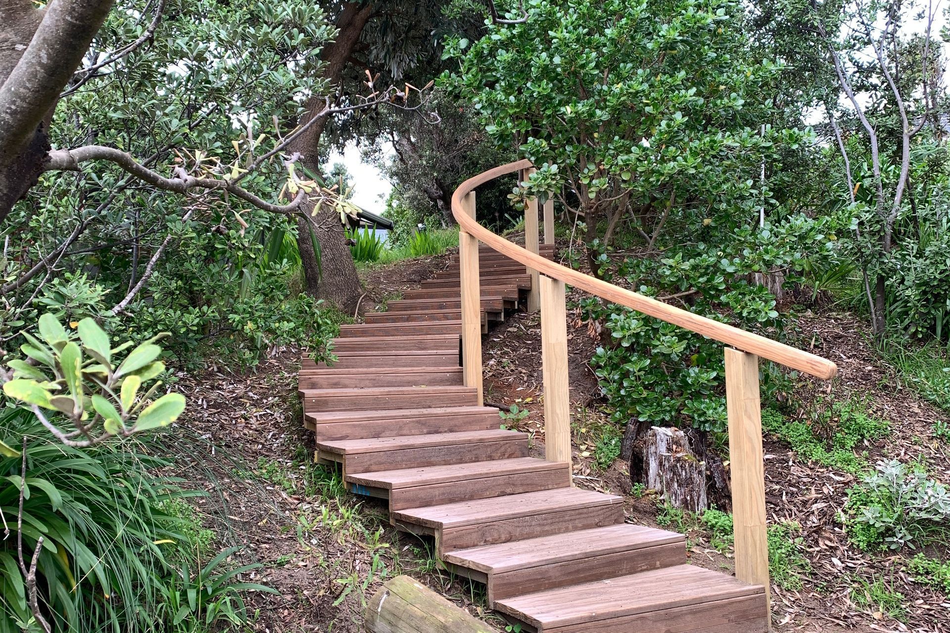 Raumati Beach - Curved Steps