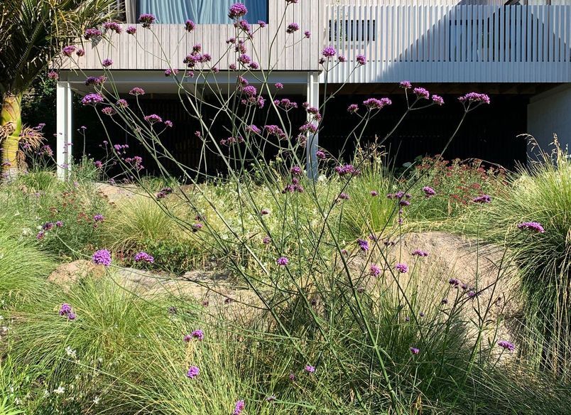 Sumner Garden