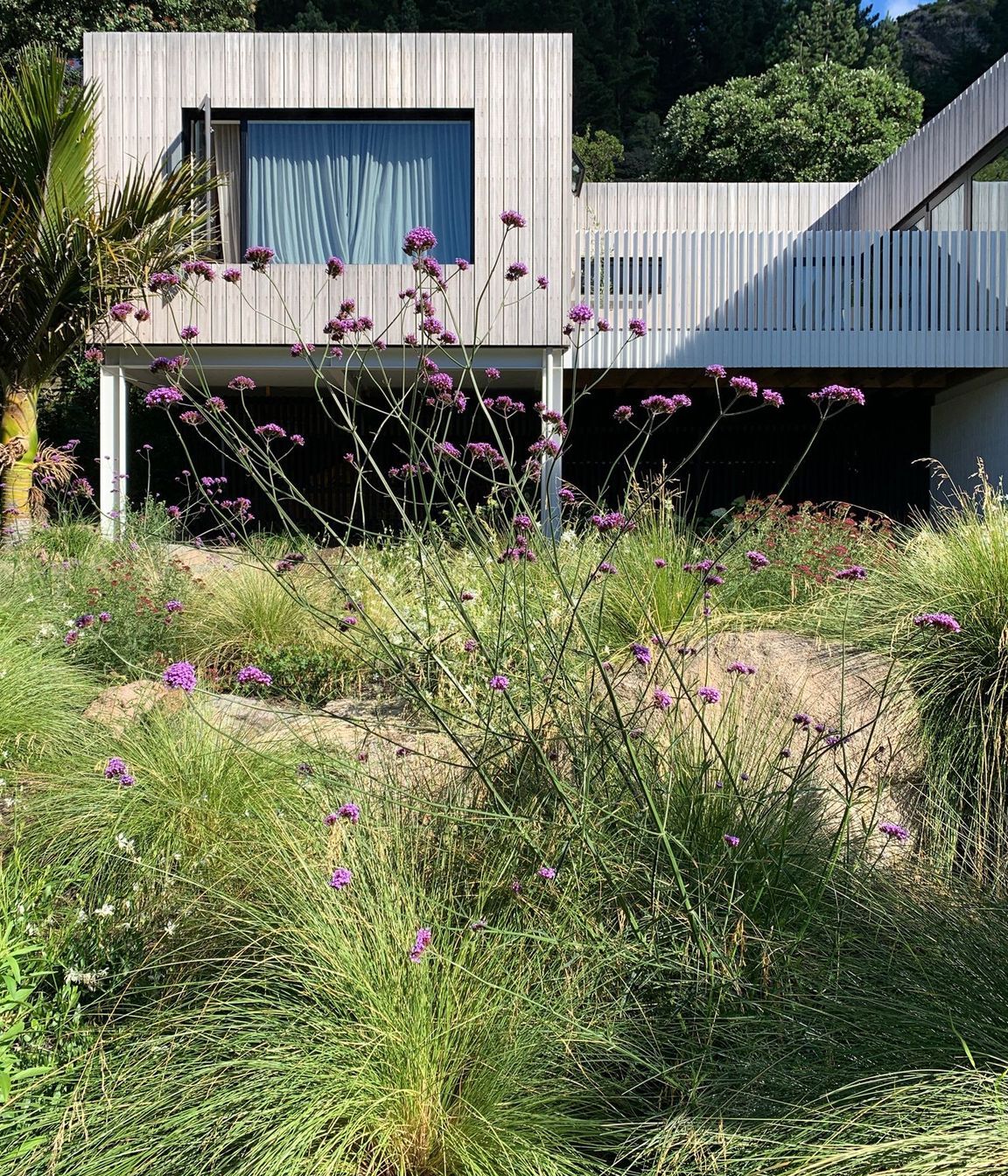Sumner Garden
