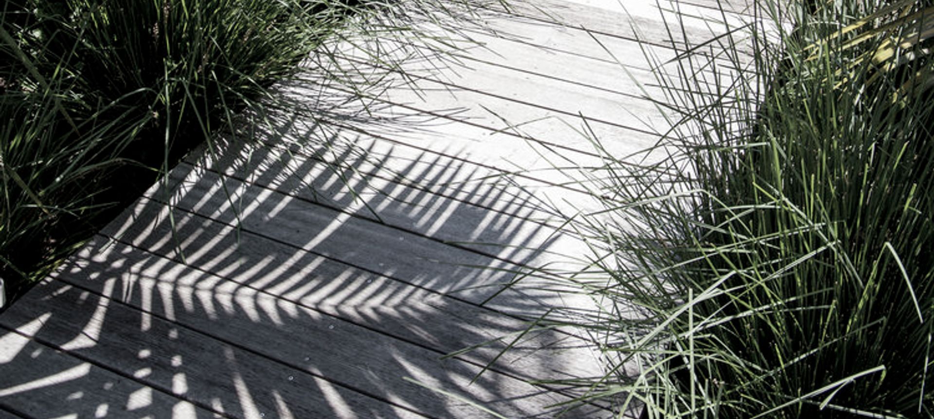 Te Kawa  banner
