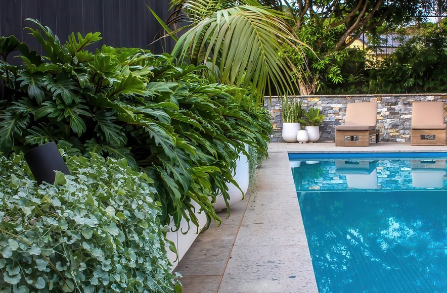 Chatswood | Landscape Design & Creation