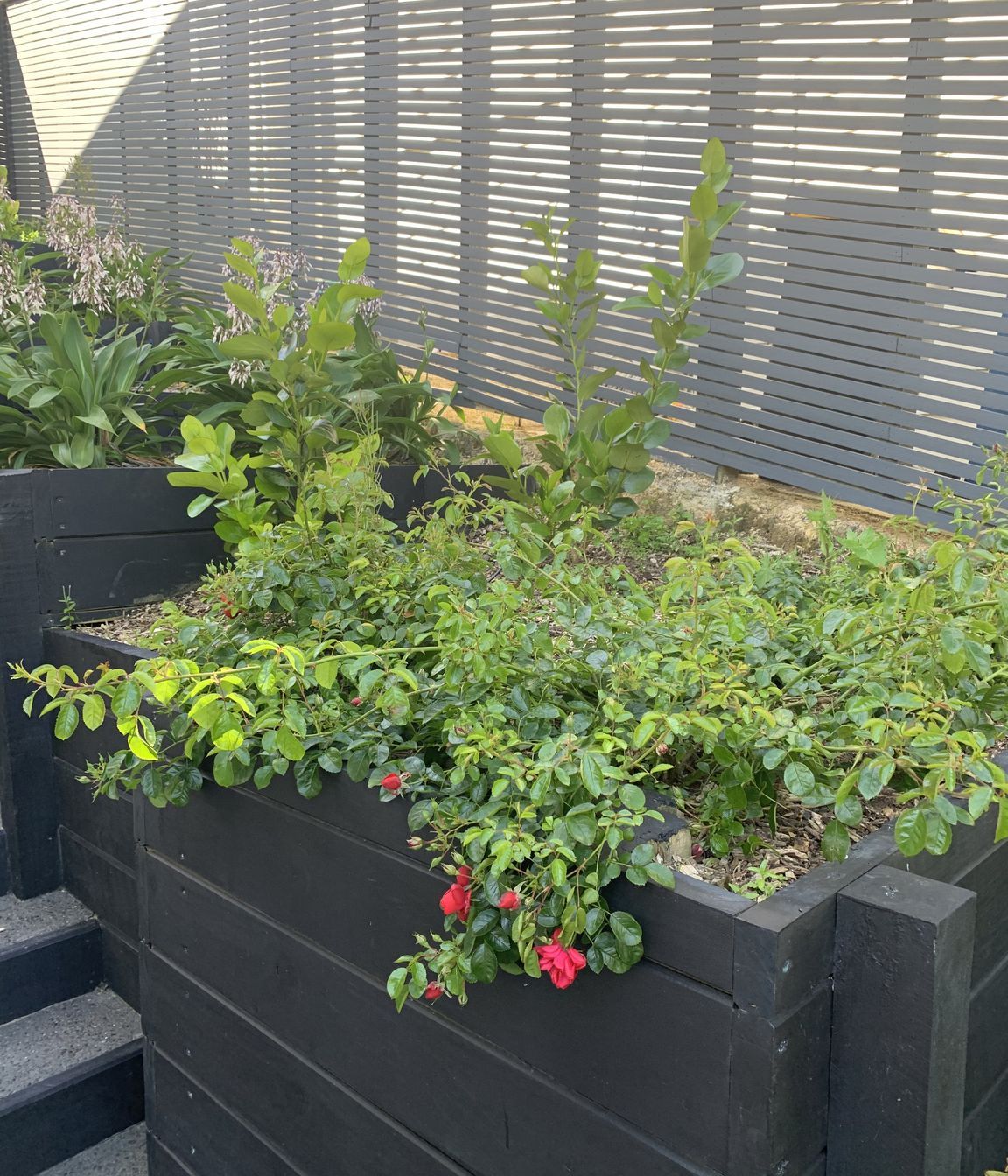 Gardens