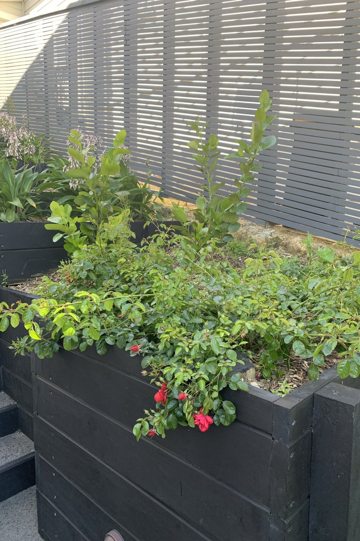 Gardens