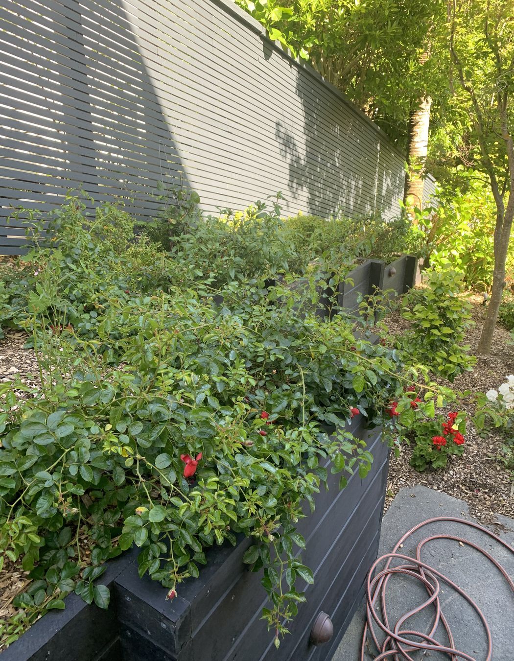 Gardens