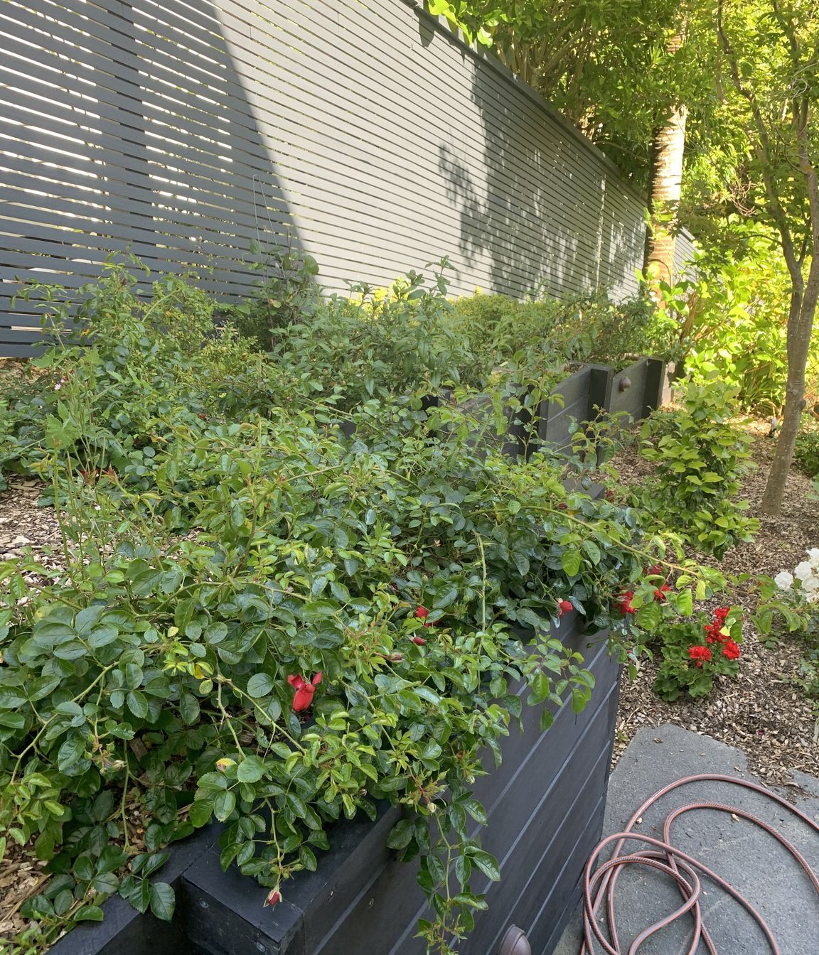 Gardens