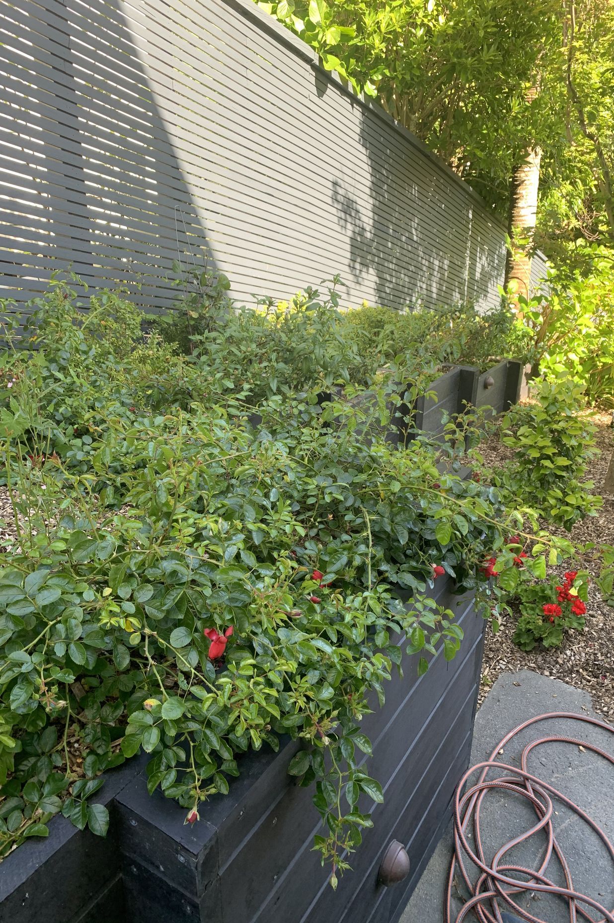Gardens