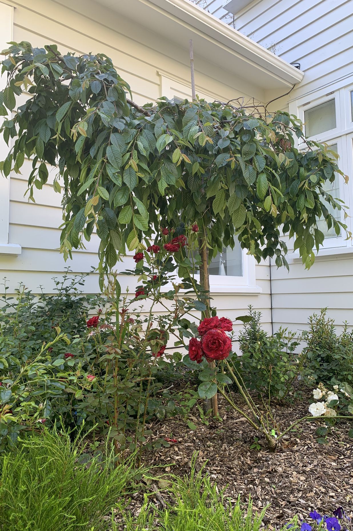 Gardens