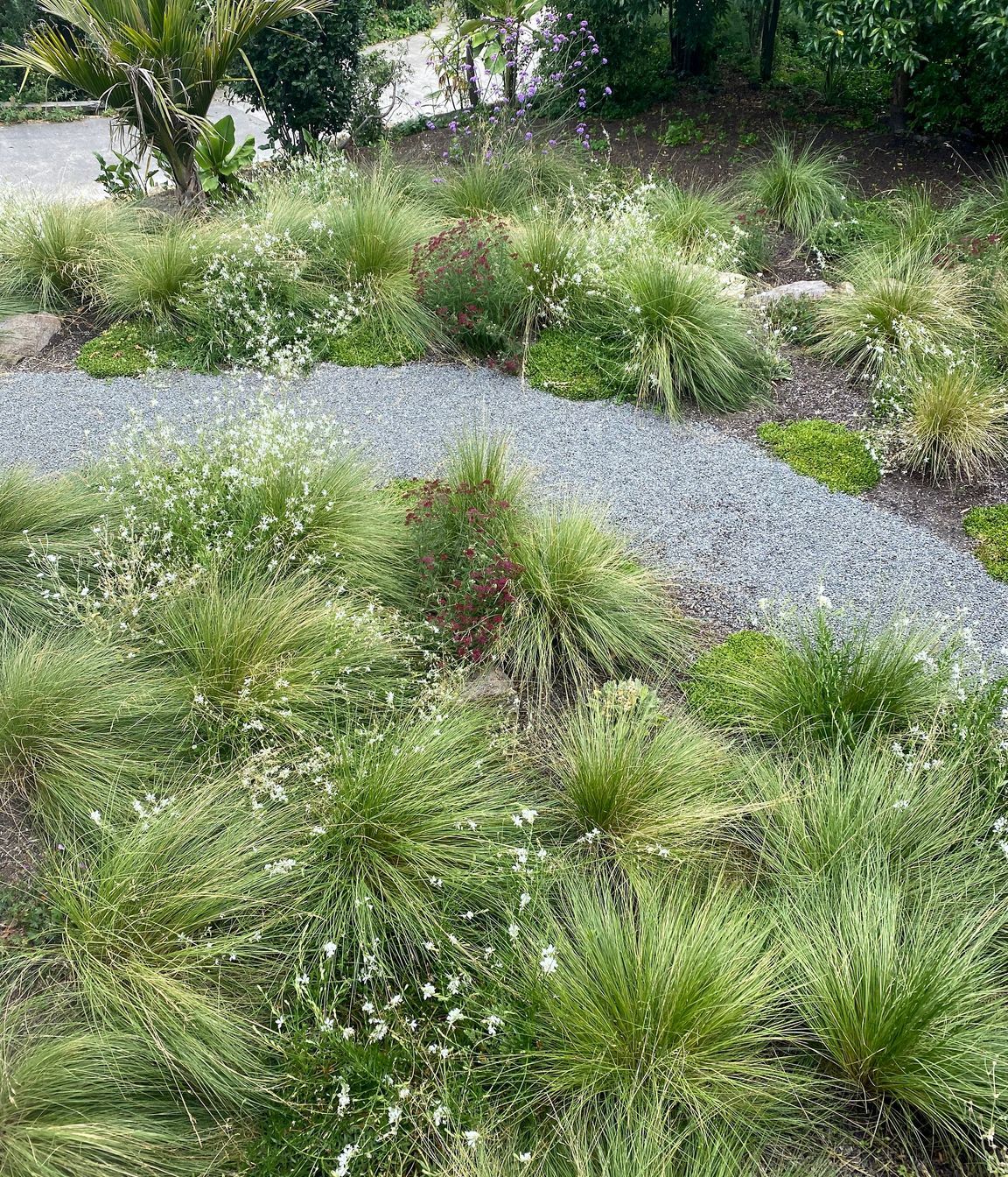 Sumner Garden