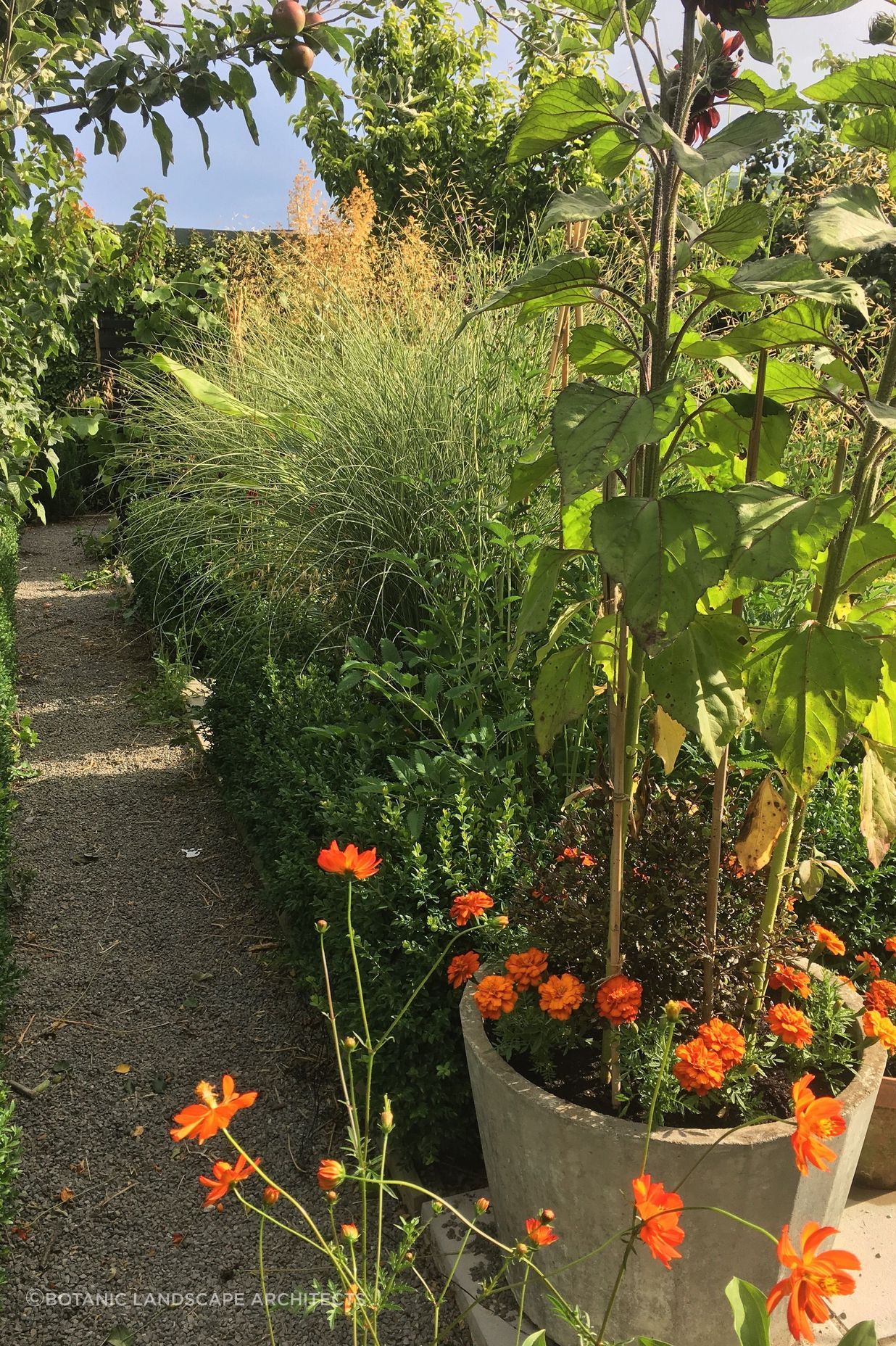 Shirley Garden