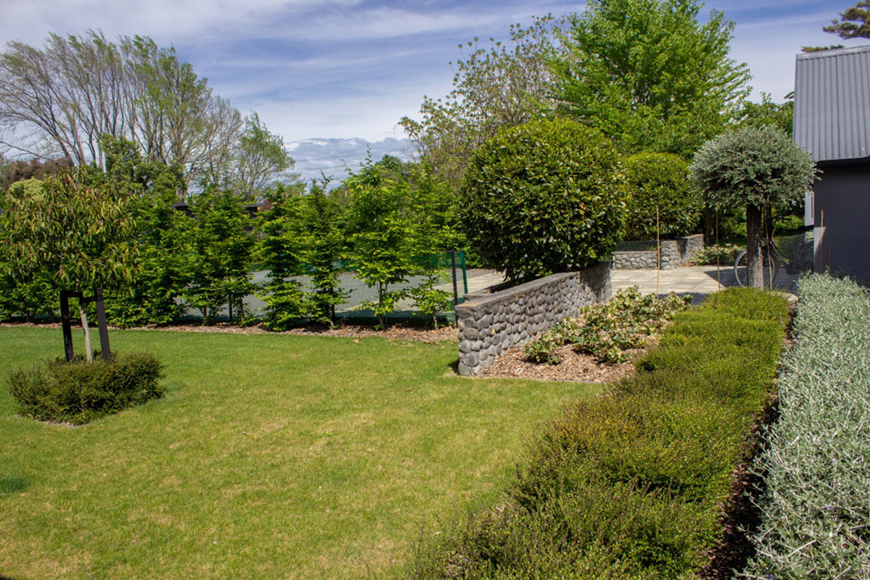 Leafy Springlands