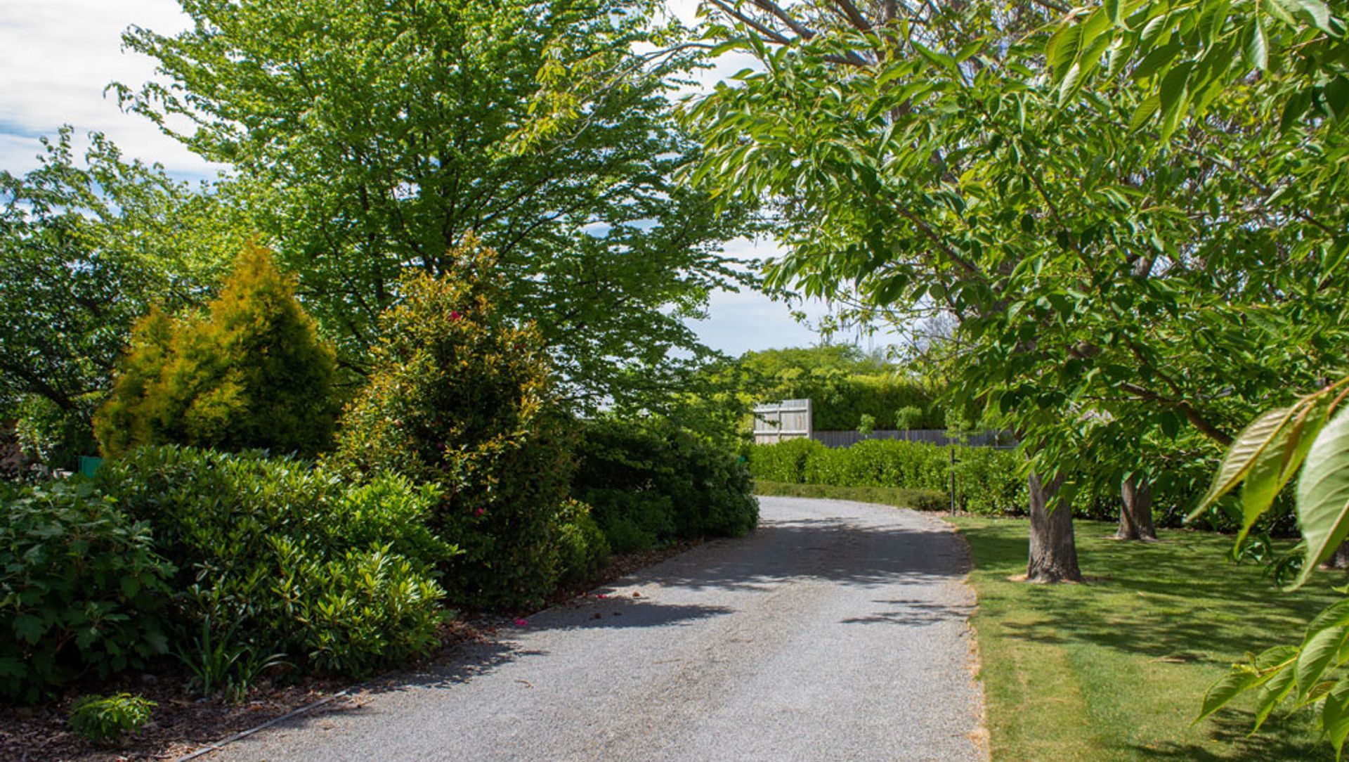 Leafy Springlands banner