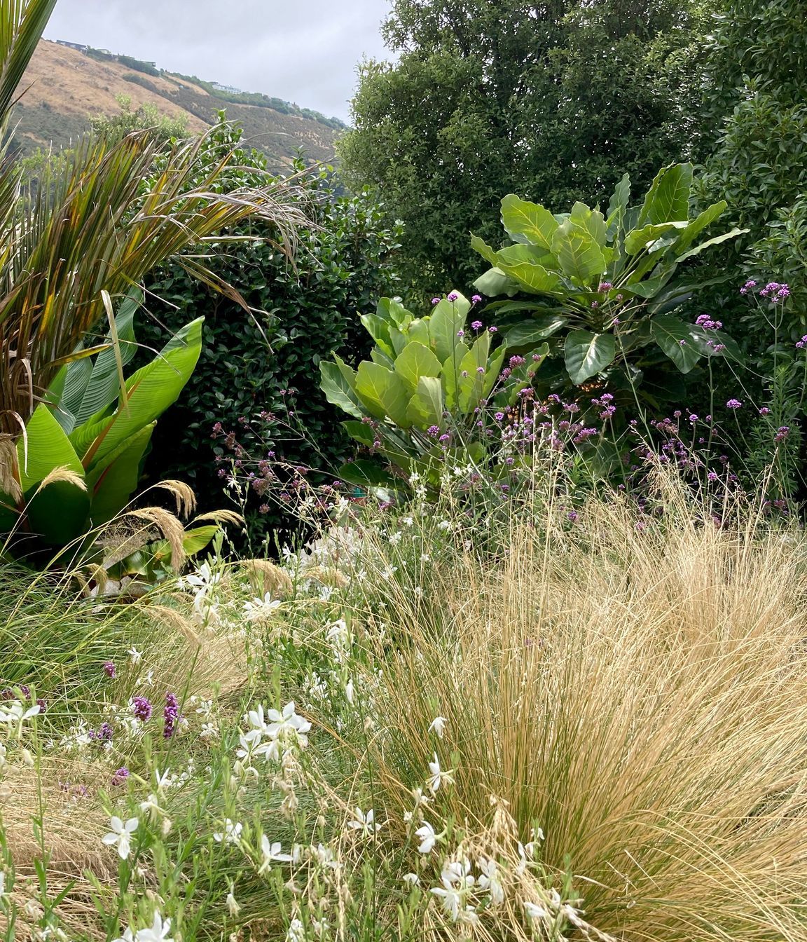 Sumner Garden