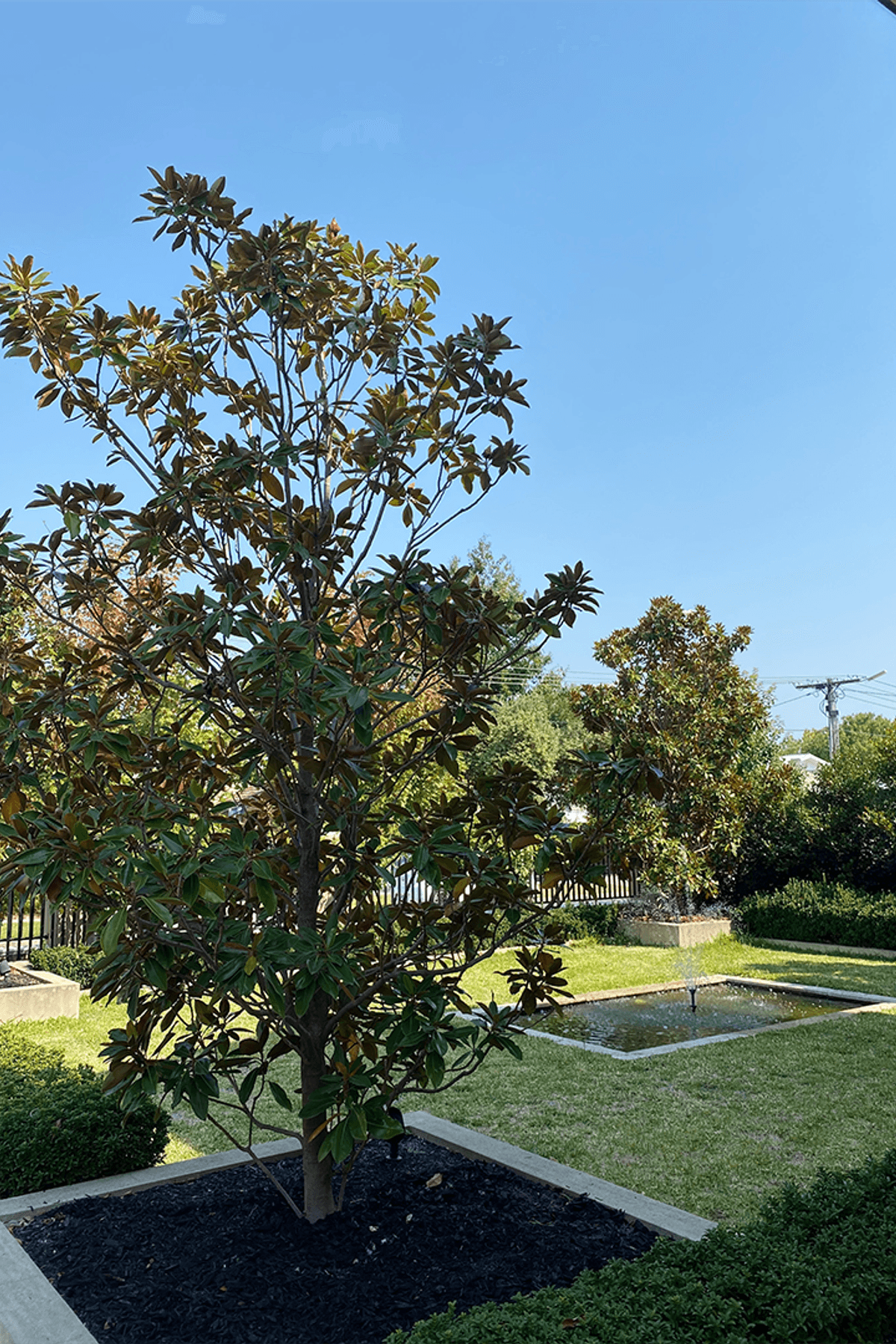 Beautiful Bentleigh Build
