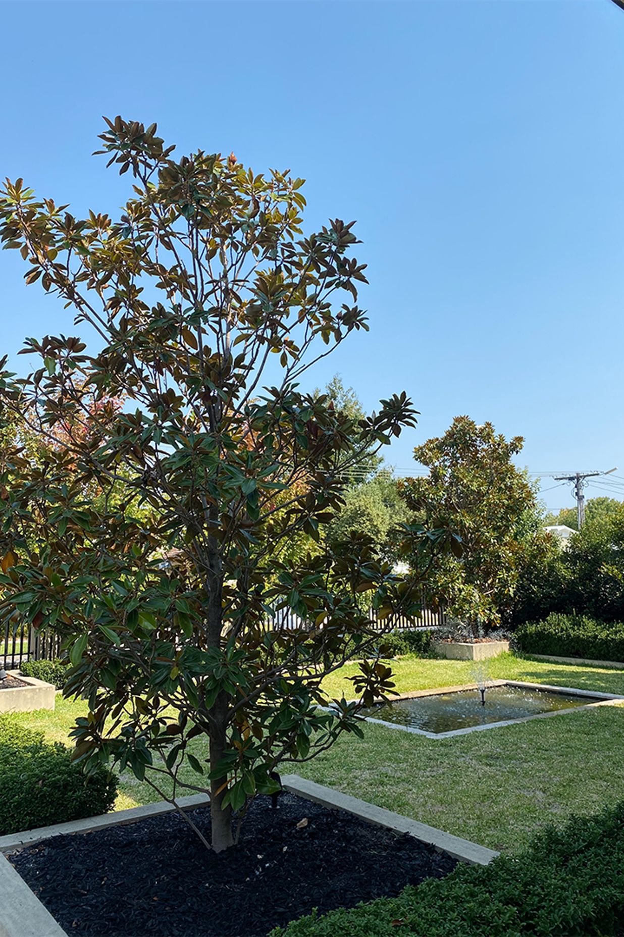 Beautiful Bentleigh Build