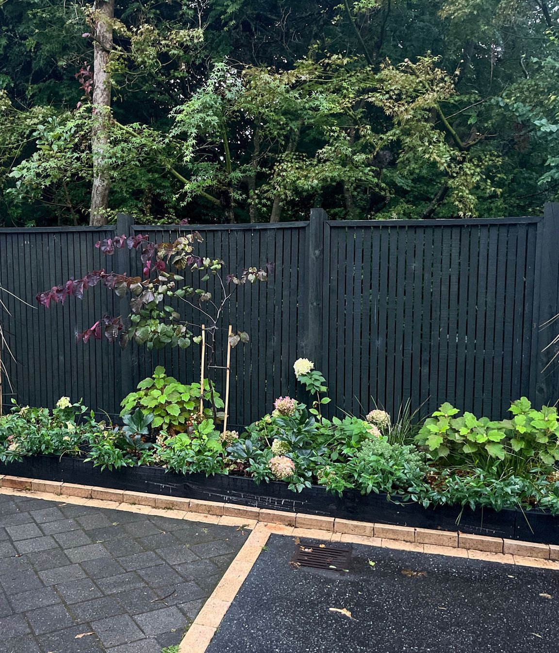 Taupo Driveway Refurbishment