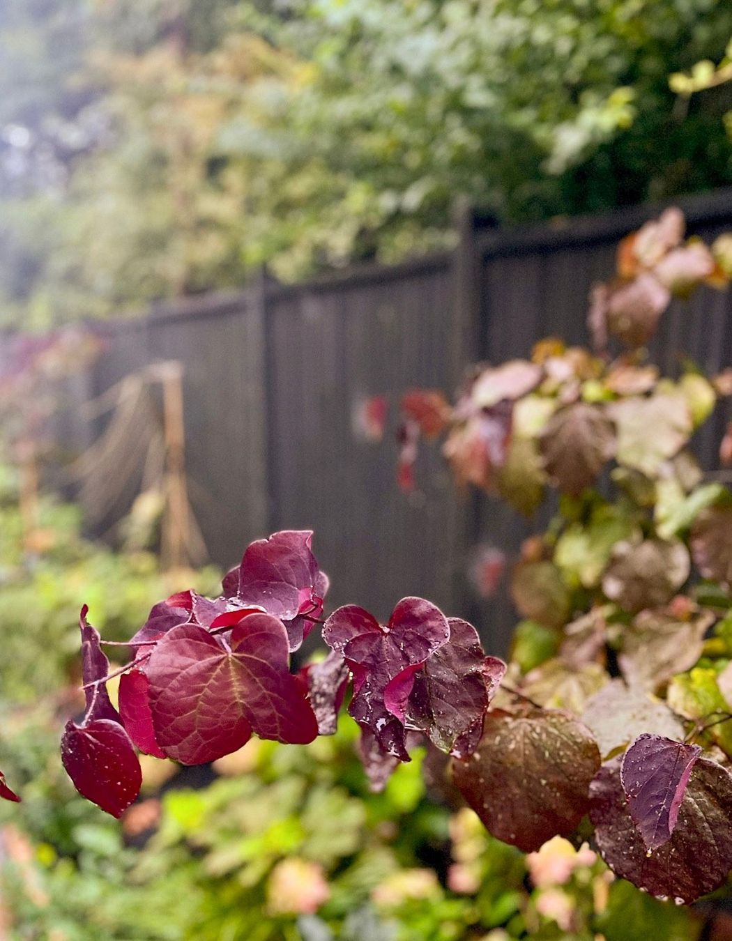 Taupo Driveway Refurbishment