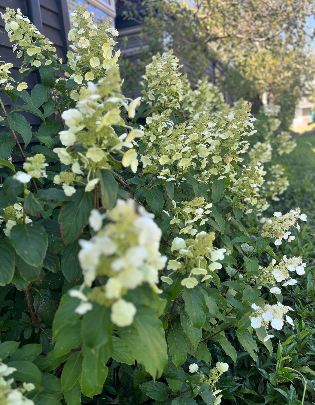 Taupo Driveway Refurbishment