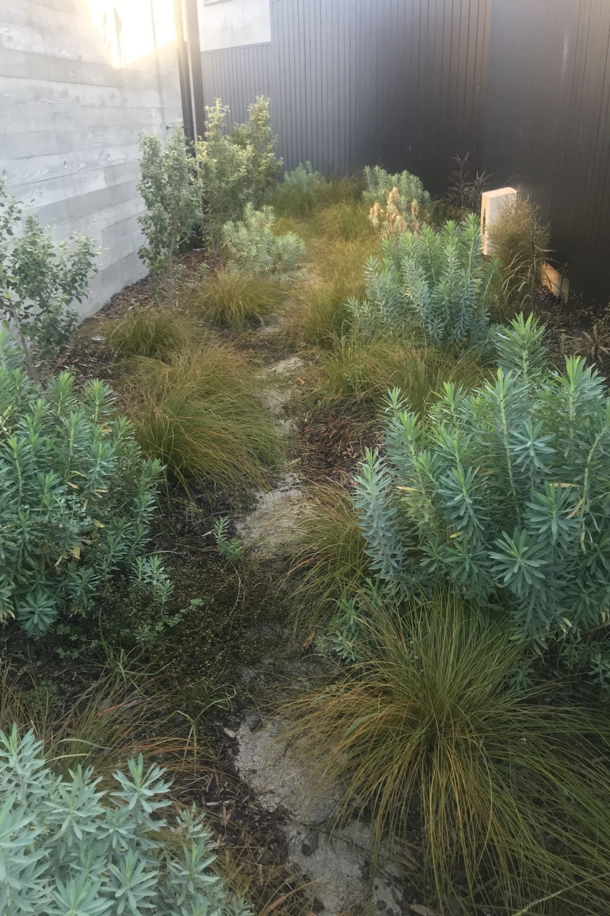 Native Planting Theme