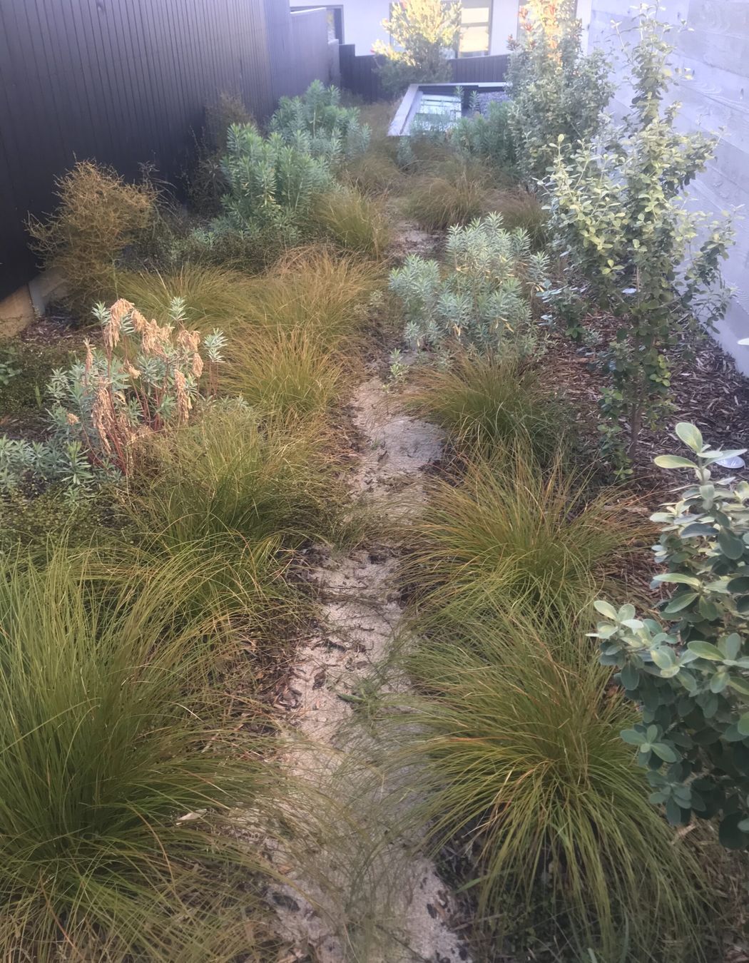 Native Planting Theme