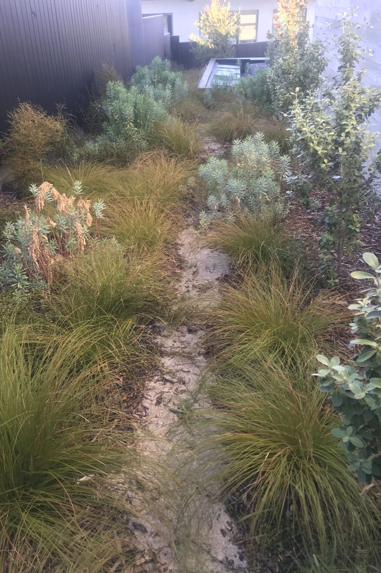 Native Planting Theme