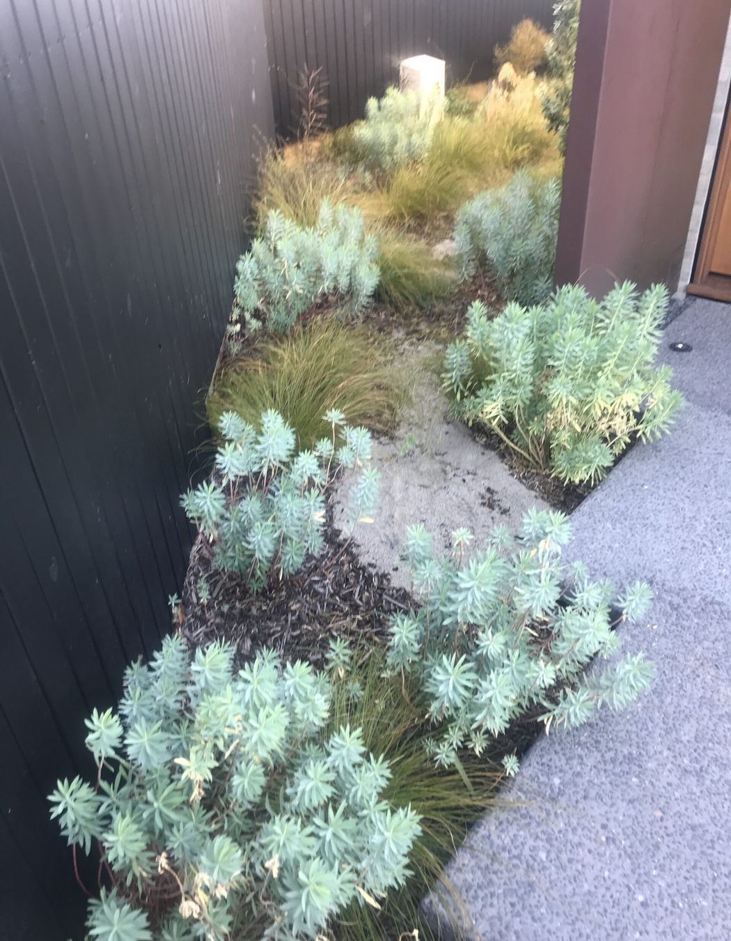 Native Planting Theme