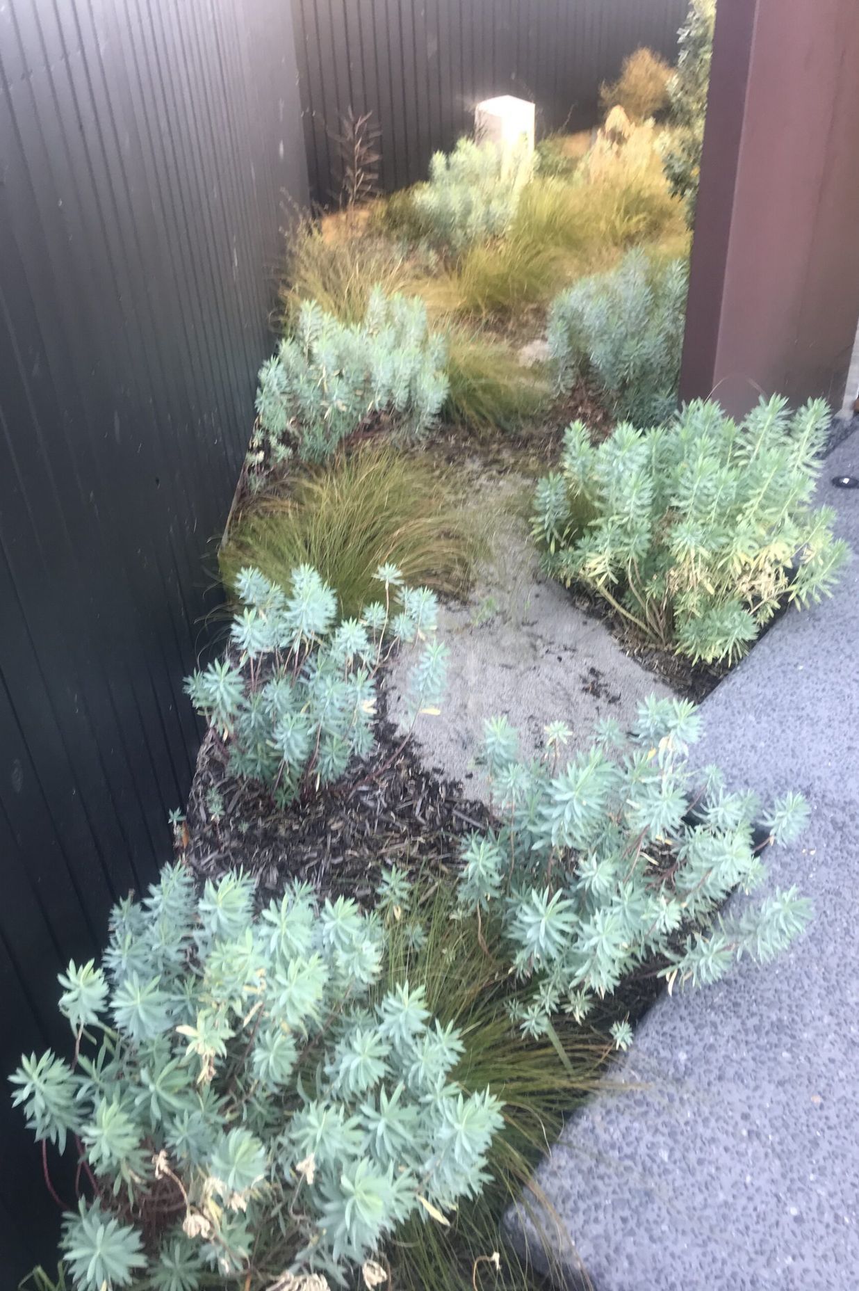 Native Planting Theme