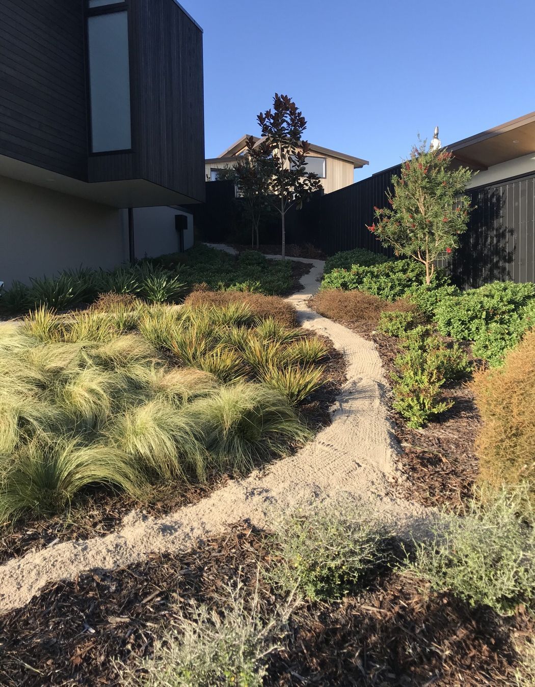 Native Planting Theme