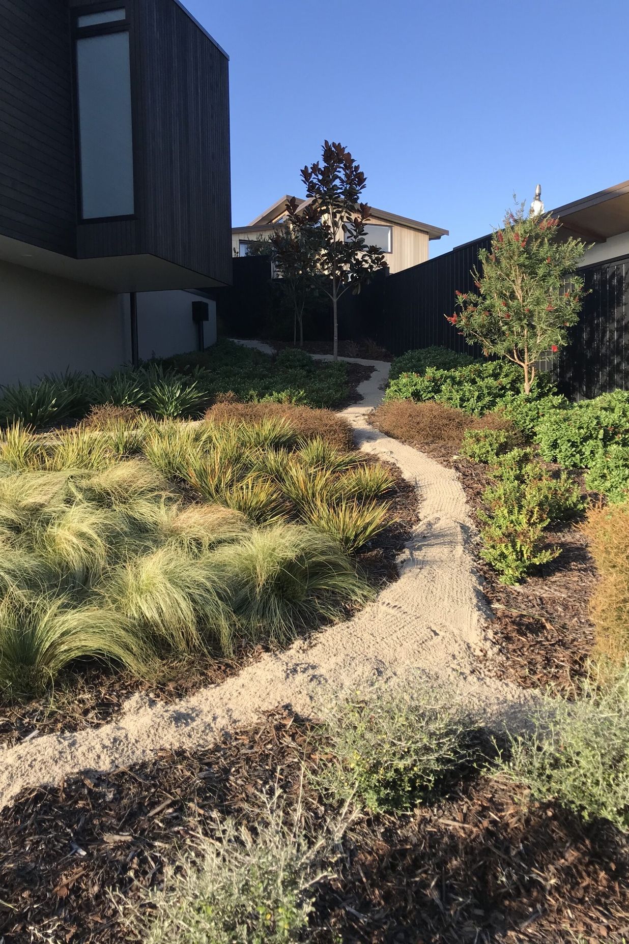 Native Planting Theme