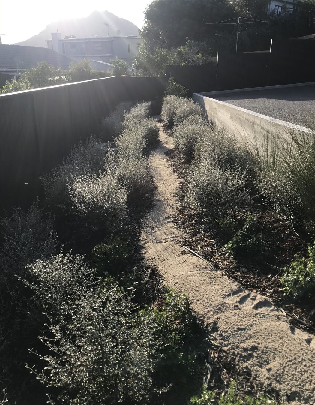 Native Planting Theme