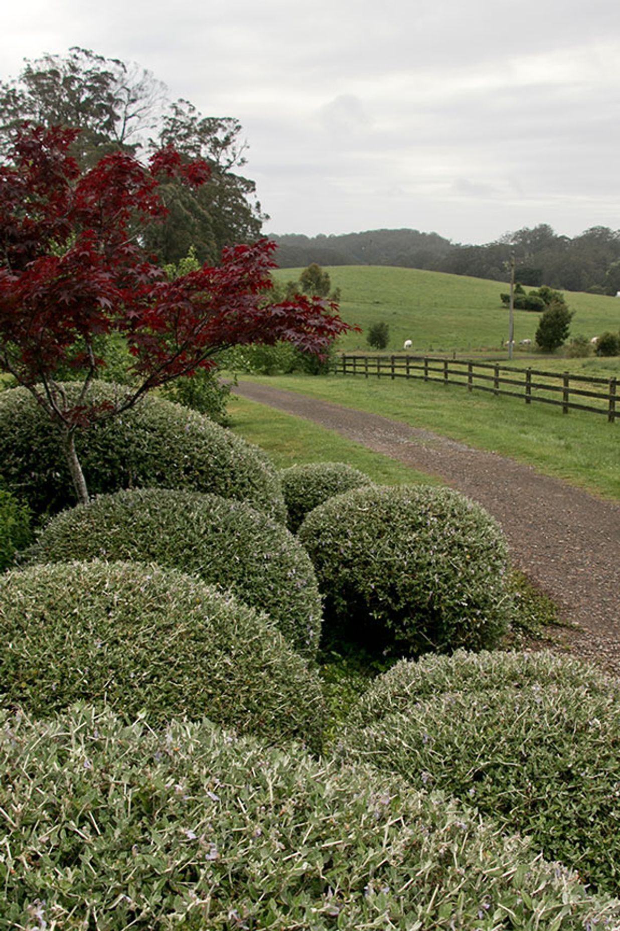 Kangaloon