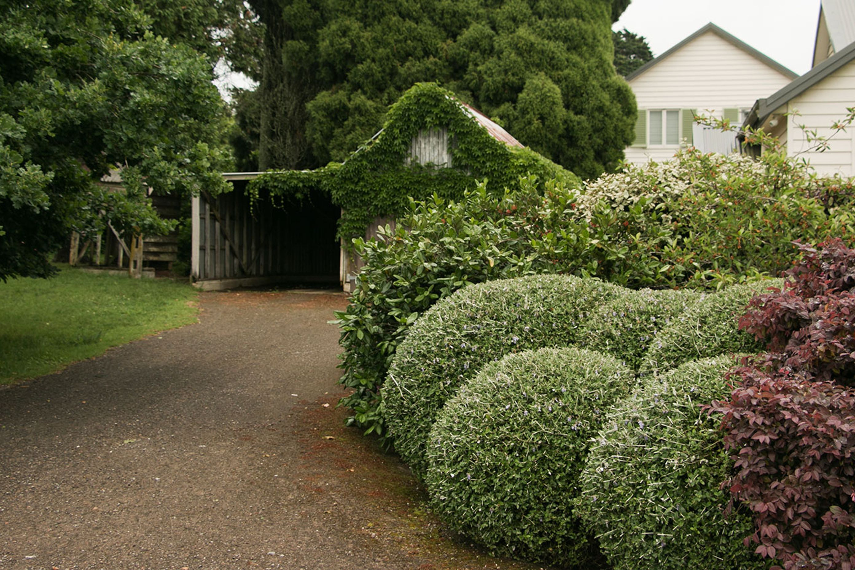 Kangaloon