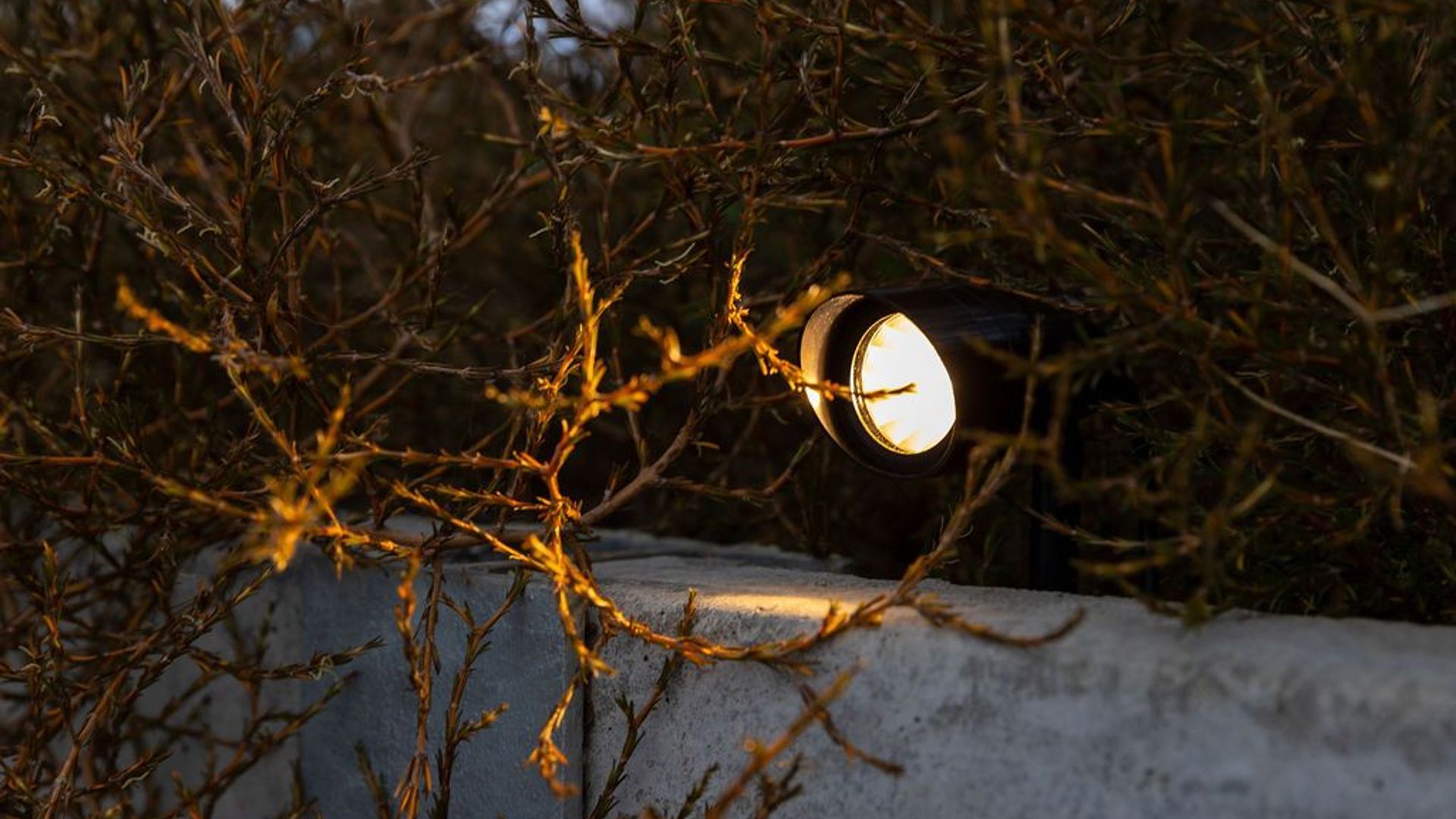 Landscape Lighting banner