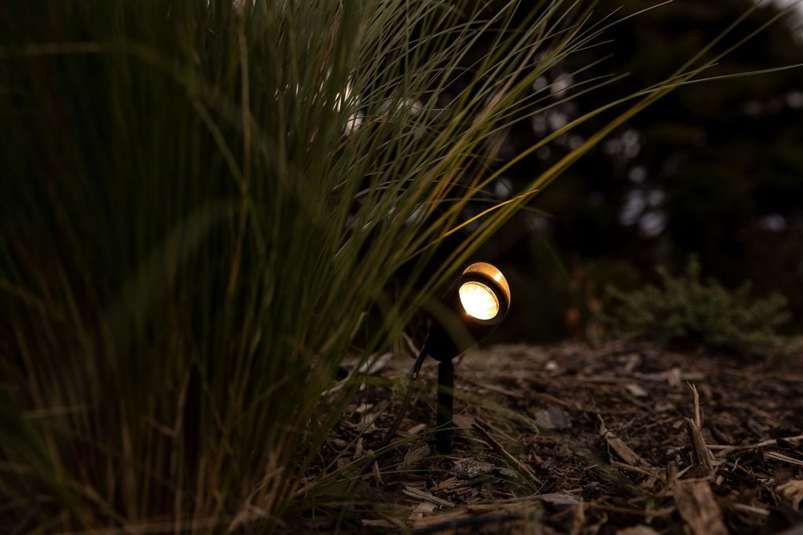 Landscape Lighting