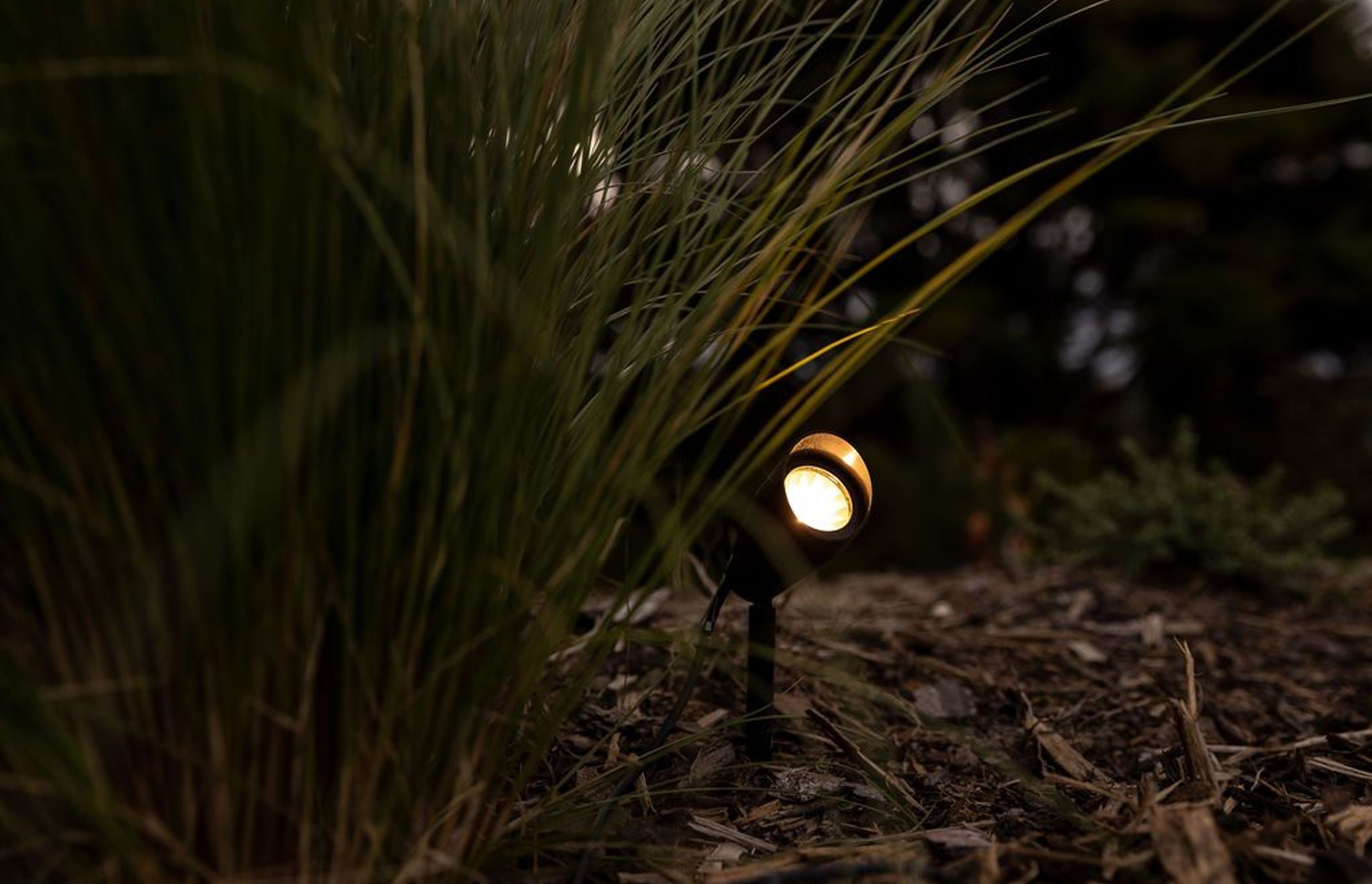 Landscape Lighting